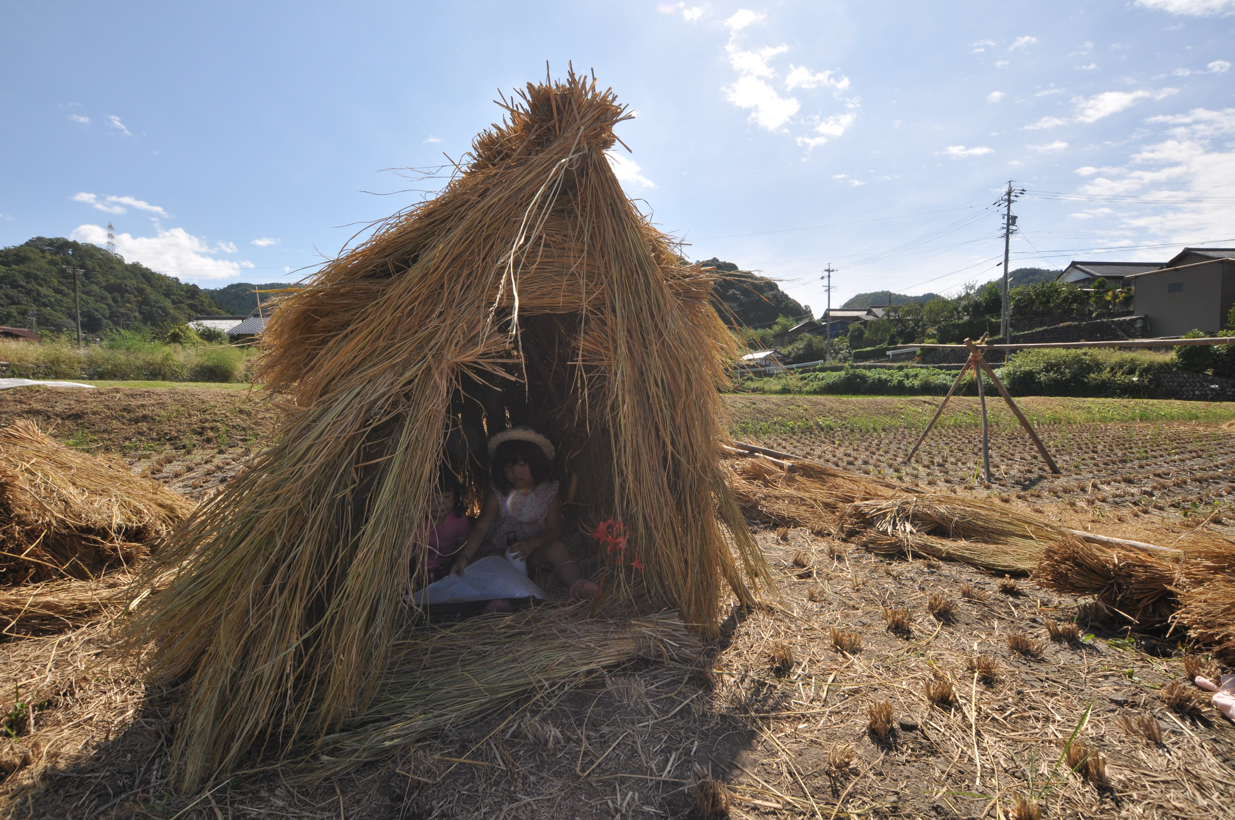 藁の家 建築士の家